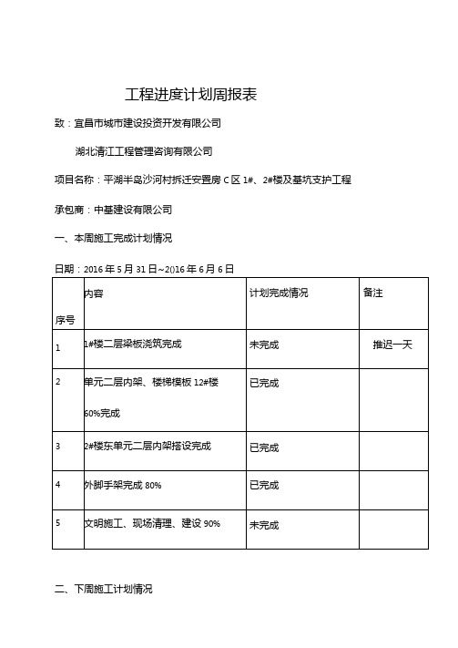 工程进度计划周报表