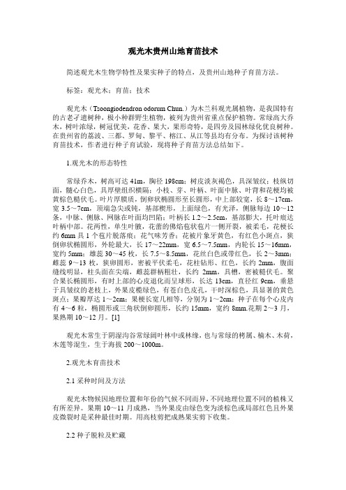 观光木贵州山地育苗技术