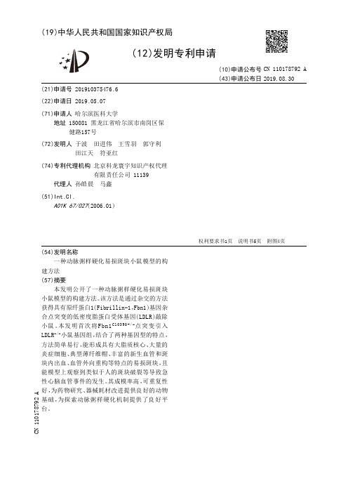 【CN110178792A】一种动脉粥样硬化易损斑块小鼠模型的构建方法【专利】