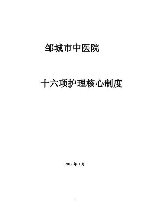 十六项护理核心制度