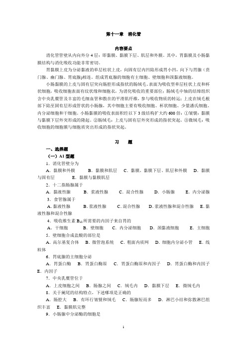 消化管1.doc
