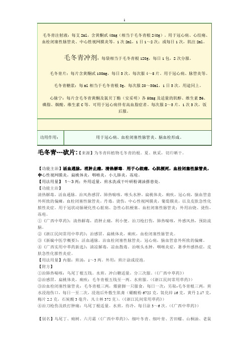 毛冬青