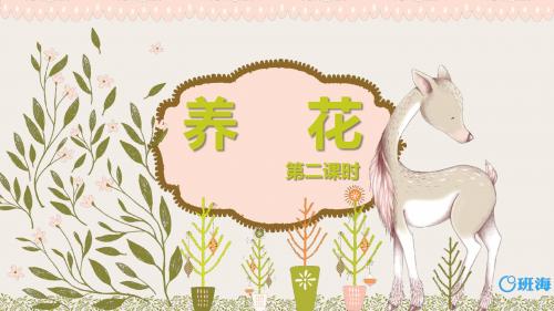 北师大版六下_养花 第2课时【优质课件】.pptx