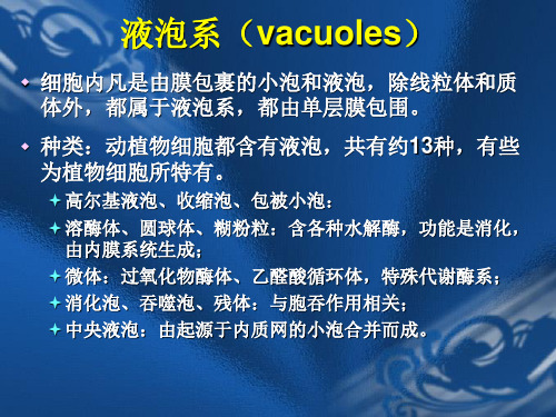 液泡系的活体染色