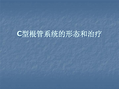C型根管疗系统的形态和治疗精品PPT课件