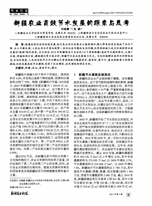 新疆农业高效节水发展的探索与思考