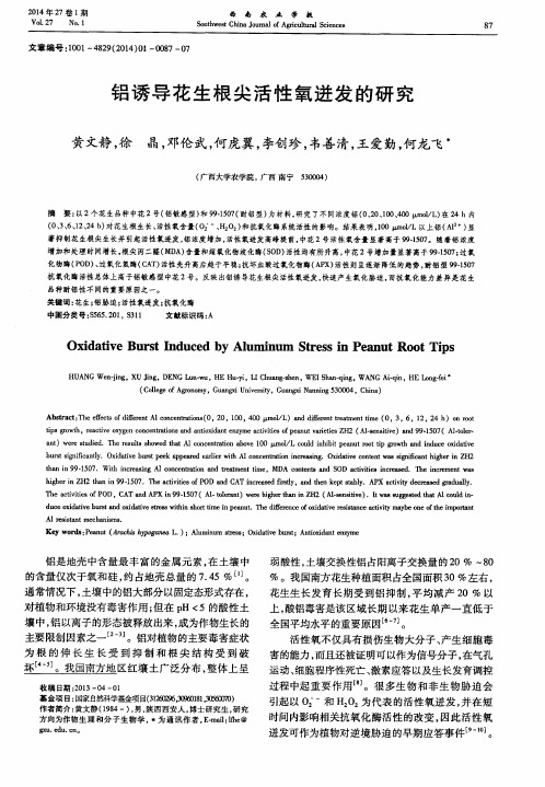 铝诱导花生根尖活性氧迸发的研究