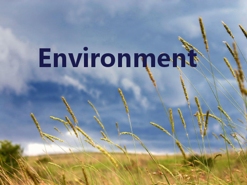 environment_环境_主题英文_PPT