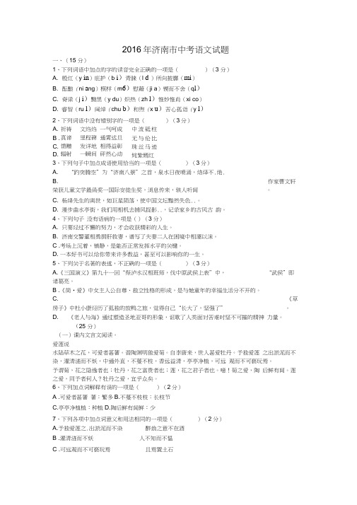 山东省济南市2016年中考语文试题(word版,含解析)