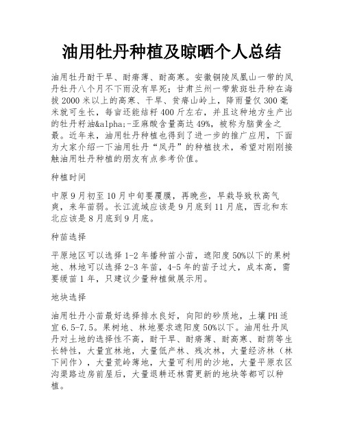 油用牡丹种植及晾晒个人总结