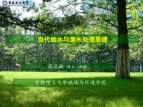 【2019年整理】当代给水与废水处理原理