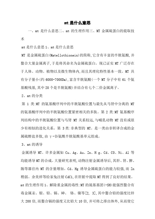 mt是什么意思