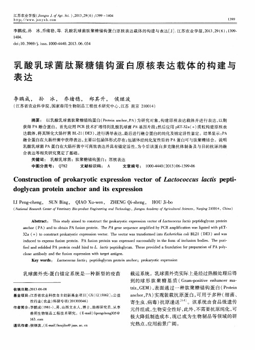 乳酸乳球菌肽聚糖锚钩蛋白原核表达载体的构建与表达