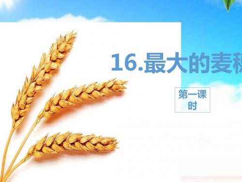 最新苏教版小学语文六年级下册16.最大的麦穗 第1课时公开课课件.pptx