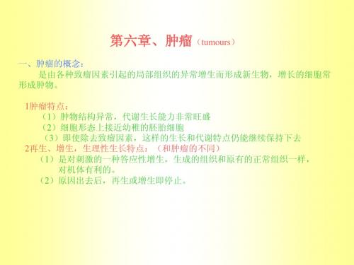 鱼类的肿瘤