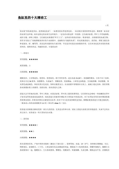 鱼缸里的十大清洁工