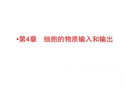 高考生物一轮复习配套课件：必修一第4章 细胞的物质输入和输出