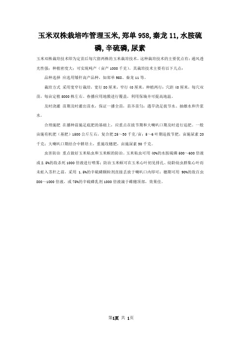 玉米双株栽培咋管理玉米,郑单958,秦龙11,水胺硫磷,辛硫磷,尿素