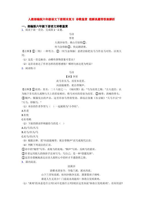 人教部编版六年级语文下册期末复习 诗歌鉴赏 理解真题带答案解析