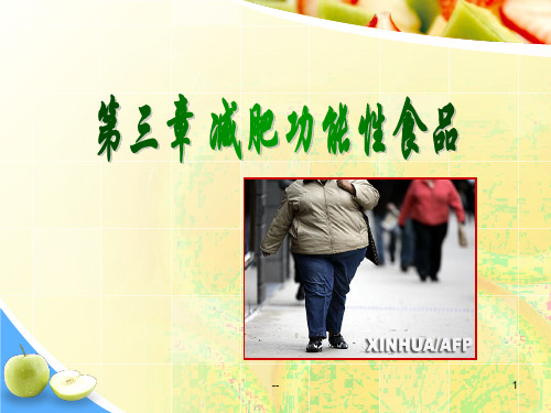 第三章减肥功能性食品PPT课件