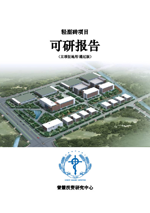 轻型砖项目可研报告立项征地用(通过版)