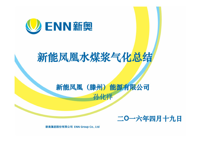新能凤凰水煤浆气化装置总结