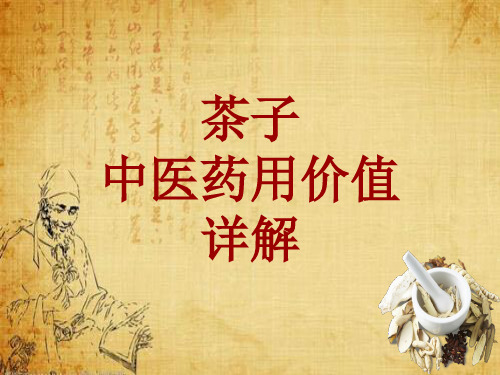 中药学_茶子_药材详解课件模板