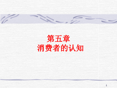 第五章消费者认知;第九章个性、自我概念、生活方式.pptx