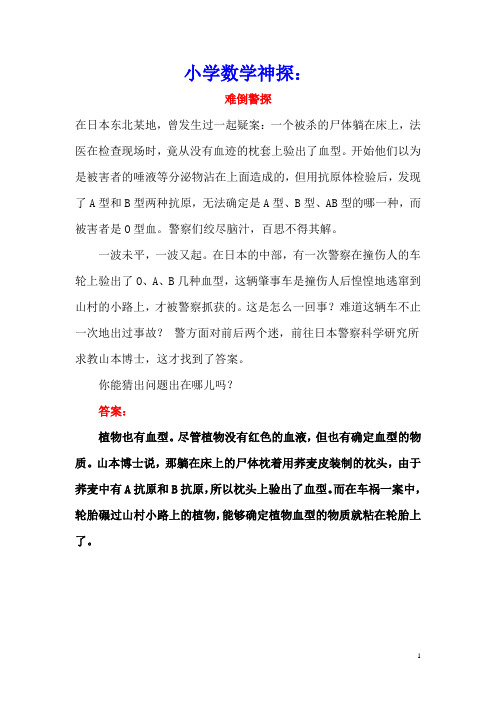 小学数学数学神探：难倒警探