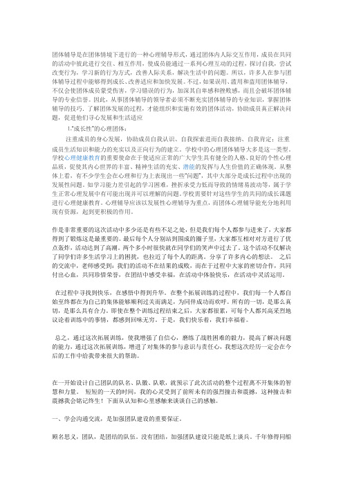 心理团辅论文