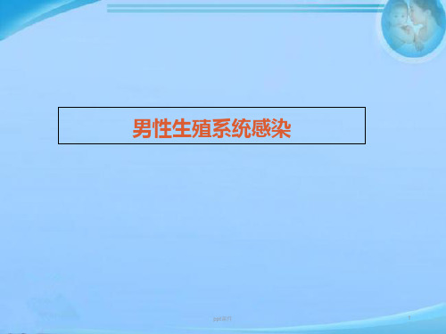 男性生殖系统感染  ppt课件