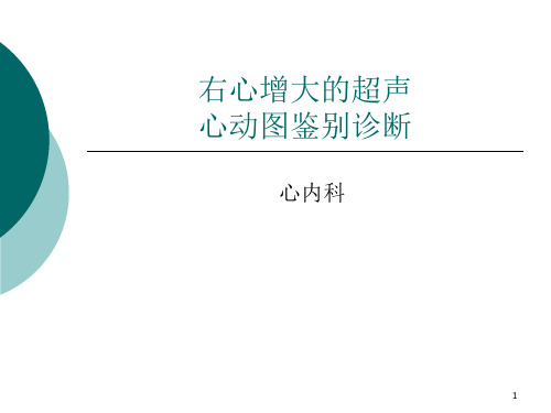 右心增大的超声鉴别诊断ppt课件