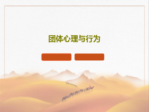 团体心理与行为46页PPT