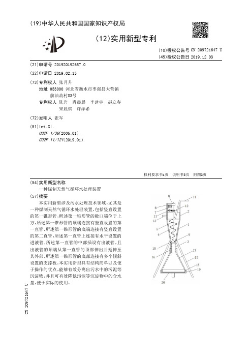 【CN209721647U】一种煤制天然气循环水处理装置【专利】
