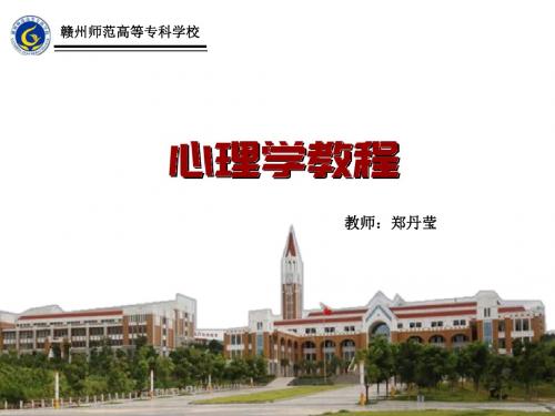 心理学教程——第四章