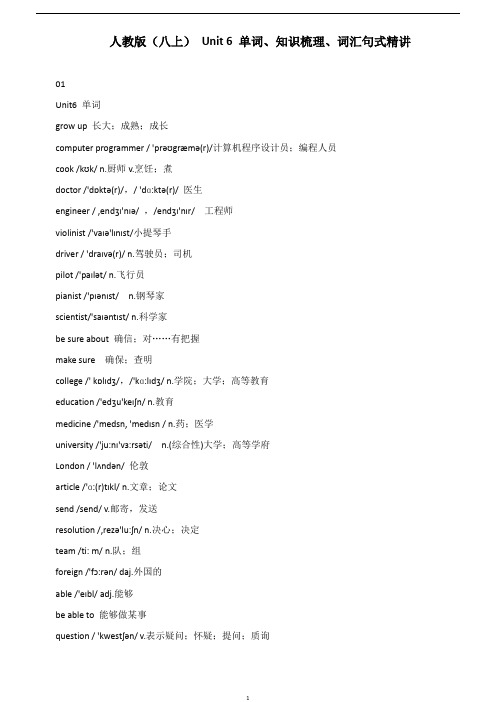 初中英语 Unit 6 单词、知识梳理、词汇句式精讲人教版八年级上册