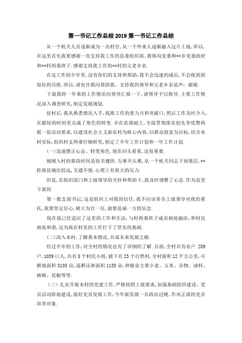 第一书记工作总结2019 第一书记工作总结 精品