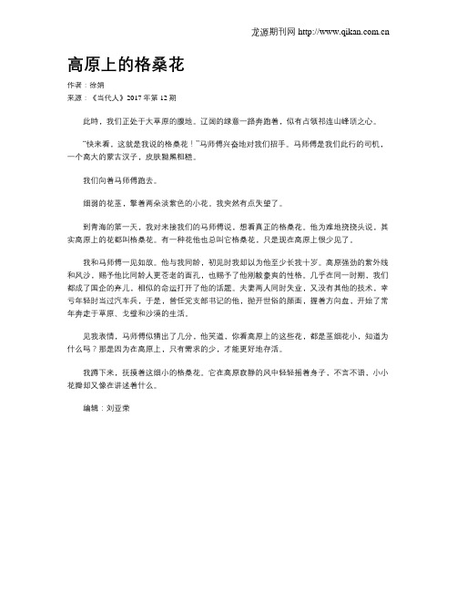 高原上的格桑花
