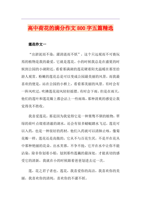 高中荷花的满分作文800字五篇精选