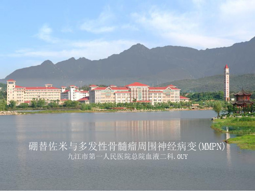 硼替佐米与周围神经病变