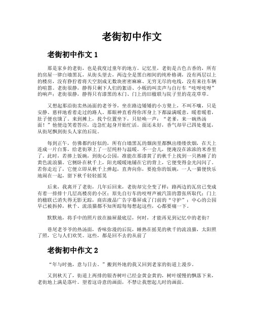 老街初中作文