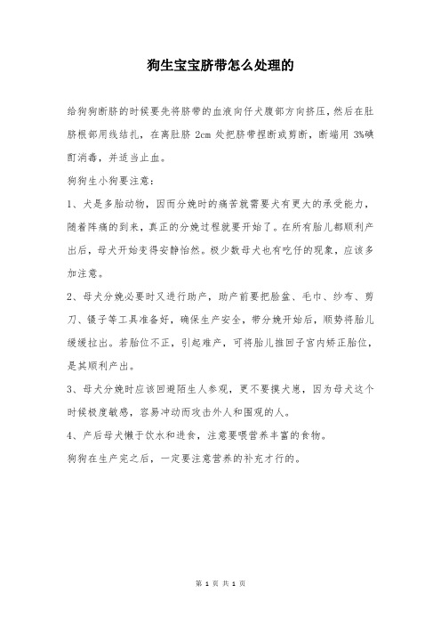 狗生宝宝脐带怎么处理的