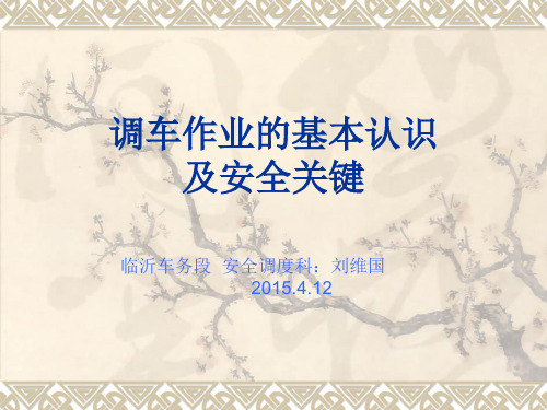 调车作业基本认识及安全关键2015.4