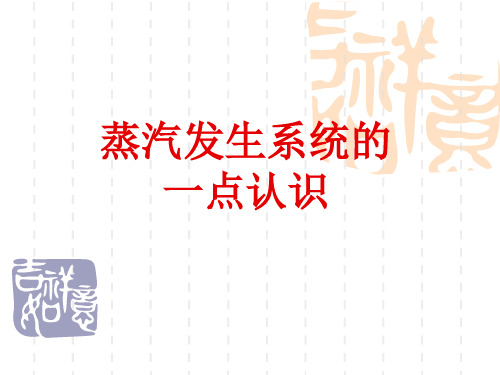 蒸汽发生系统