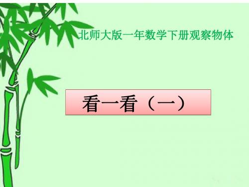 一年级下册数学优秀课件-2.1《看一看(一)》北师大版(秋) (共22张ppt)
