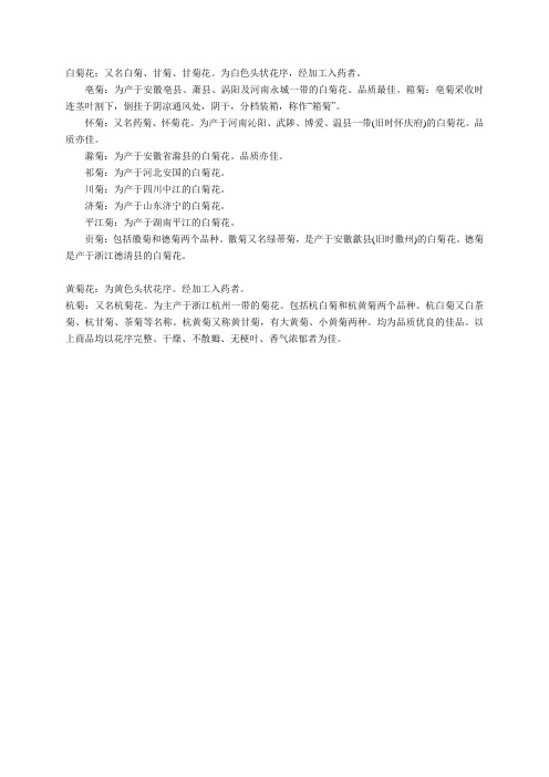白菊花