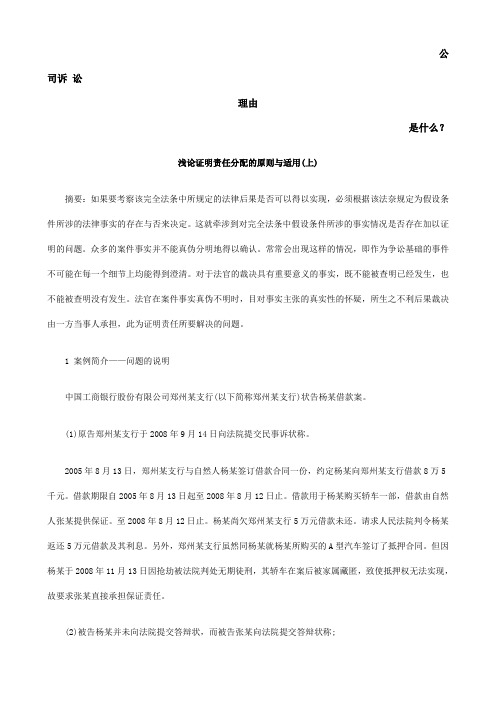 浅论证明责任分配的原则与适用(上)发展与协调