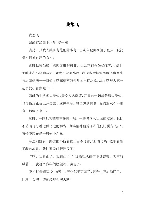 我想飞