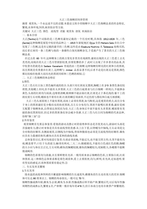 大正三色锦鲤的饲养管理