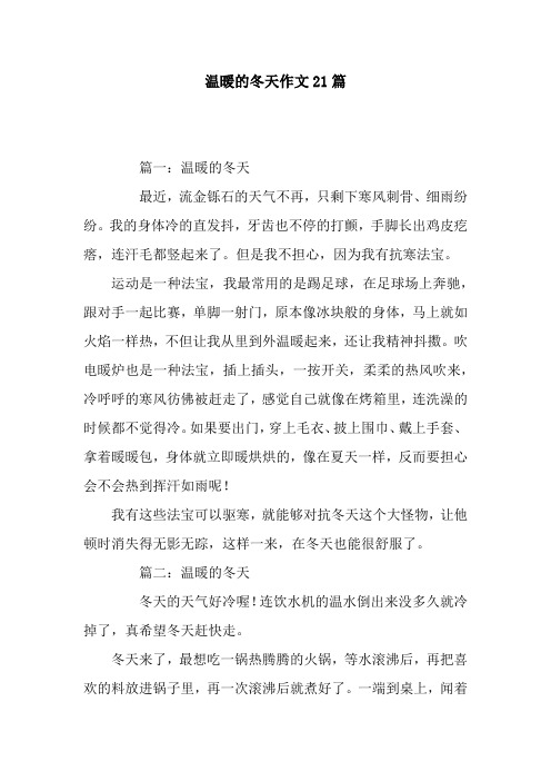 温暖的冬天作文21篇